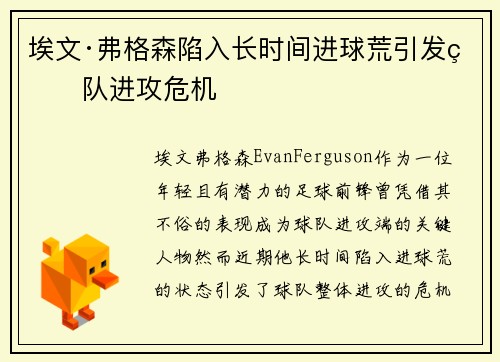 埃文·弗格森陷入长时间进球荒引发球队进攻危机 埃文·弗格森陷入长时间进球荒引发球队进攻危机