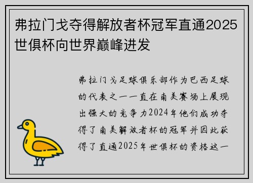 弗拉门戈夺得解放者杯冠军直通2025世俱杯向世界巅峰进发